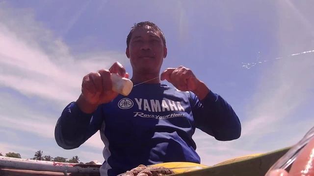Catching Fish | AKASO brave 7LE смотреть онлайн