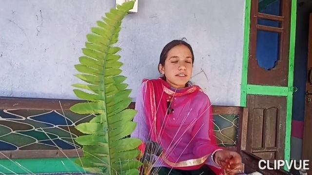 I wish to crack NEET exam//Dream of village girl . смотреть онлайн