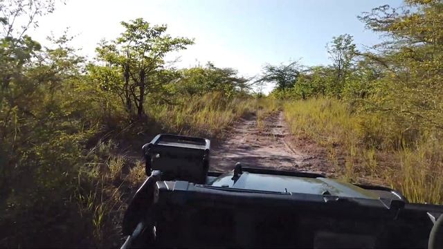 Rhino Safari Camp - A Morning Safari Drive in Zimbabwe смотреть онлайн