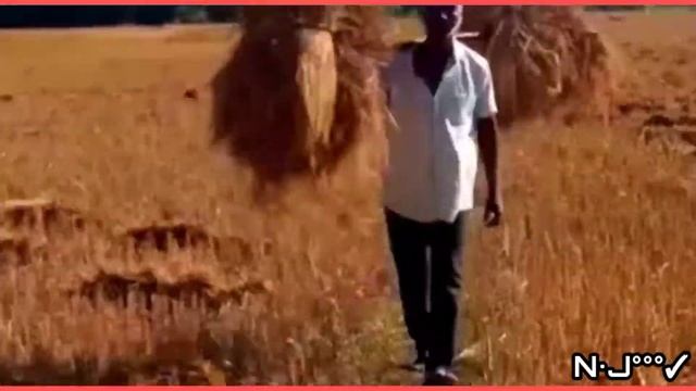 Mor patnar man ker || Dhan Bhati || #NS B Boys Mor patnar man ker || Dhan Bhati || #NS B Boys смотреть онлайн