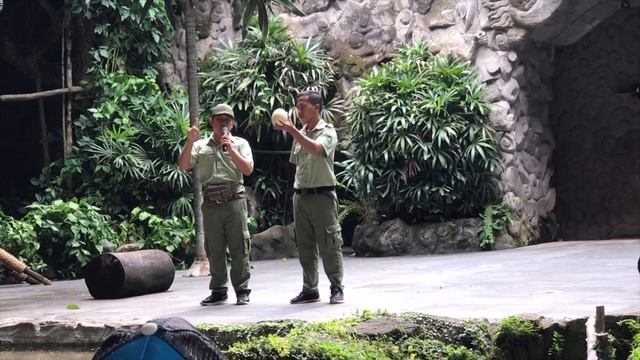 Bali Safari & Marine Drive | Adventure & Educations | Trained Animal Show смотреть онлайн