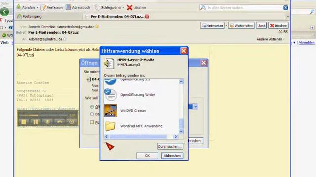 Internet-Browser 16/22 Firefox VIII смотреть онлайн