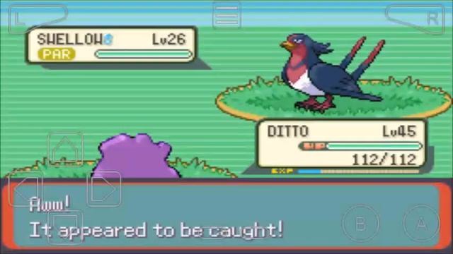 Pokemon Glazed Part 23 PokeFan Used Fly To Reach Palmtree Resort & Battle On Sunshore Beach смотреть онлайн