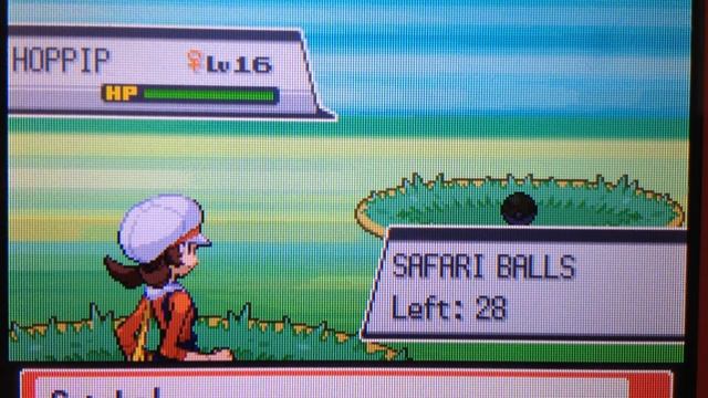 LIVE!! Shiny Hoppip in HeartGold's Safari Zone after 1,927 REs (Pre-Week Safari Week 2016) смотреть онлайн