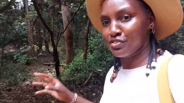 Nairobi safari walk 🇰🇪 /nature walk ,A game park in the city 😳😳🇰🇪? смотреть онлайн