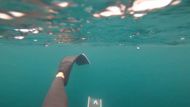 Snorkeling Test by #Rogbid #Brave in Seawater смотреть онлайн