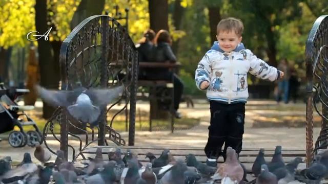 DONETSK 2012 смотреть онлайн