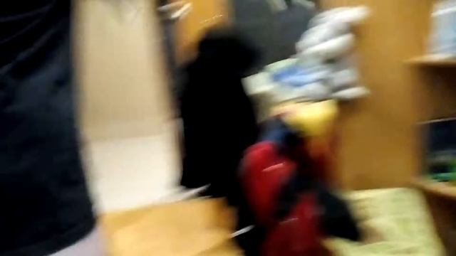 Кошка мешает сводить музыку