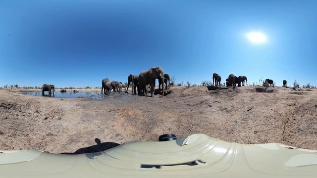 Elephants Filming - VR Wildlife Safari Trip - Photos Of Africa @livestreamnature @PhotosofAfrica