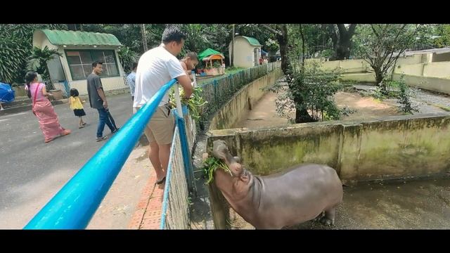 Myanmar Zoo смотреть онлайн