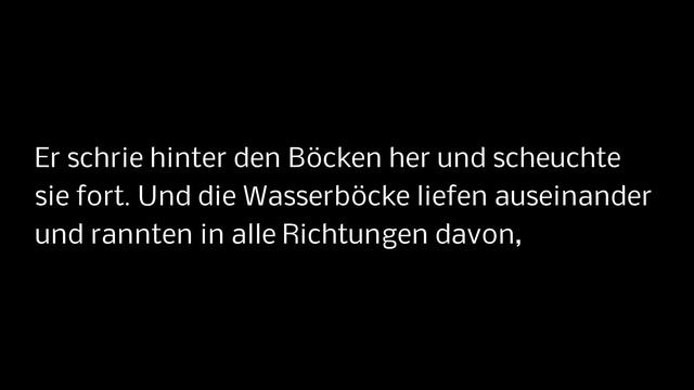 Wasserbock: Kehrseite смотреть онлайн