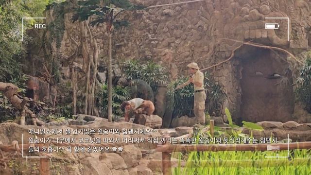 Bali 발리 브이로그 #3 | 발리 | 짱구 | 사파리 | 롯지 | Bali | Mara river | Safari | смотреть онлайн