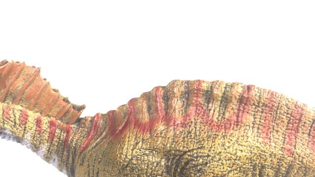 Papo Amargasaurus Model Review смотреть онлайн