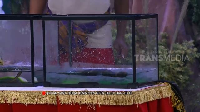 OPERA VAN JAVA | LOLITA DIKERJAIN TIM OVJ (18/12/17) 3-5 смотреть онлайн