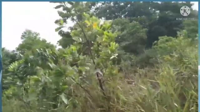 mariner women she is very strong and wonderful to driven motorcycles on hard land смотреть онлайн