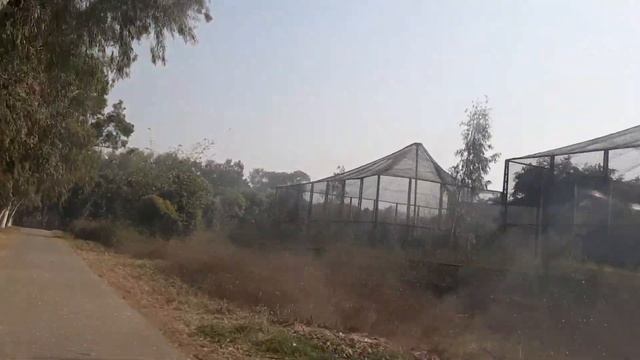 Safari Zoo Lahore | Safari Park Lahore | Lahore Park | @NafeesPakistan смотреть онлайн