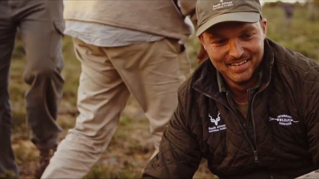 Rhino Darting Experience смотреть онлайн