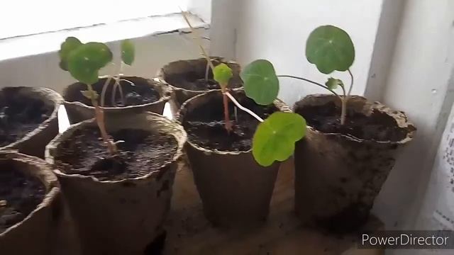 Vlog#40//Весь день на кухне // смотреть онлайн