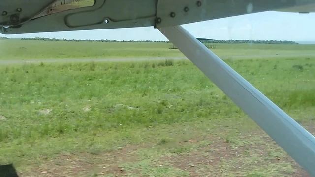Cessna Caravan landing in the Masai Mara - greeted by Warthogs ;) смотреть онлайн