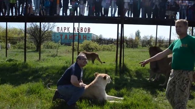 TAIGAN Safari Park Lviv смотреть онлайн