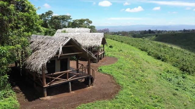 Crater Forest Tented Camp смотреть онлайн
