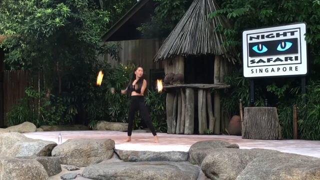 Night safari-Singapore смотреть онлайн