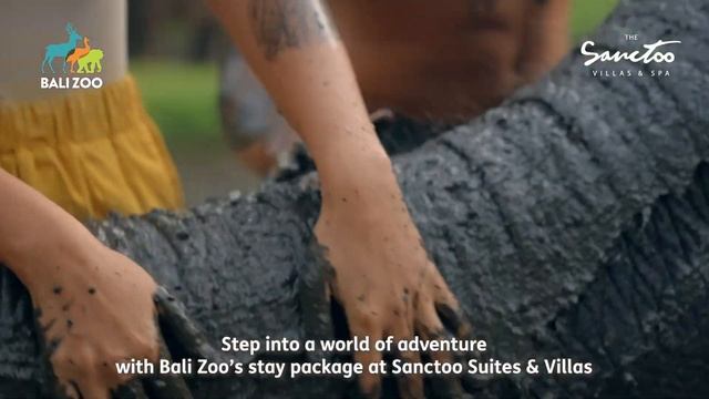 Bali Zoo in - collaboration with The Sanctoo Villas смотреть онлайн