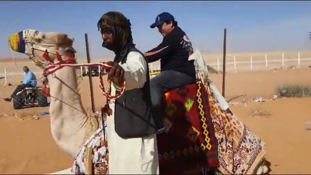 Camel Riding Experience In The Red Sand Desert Of Riyadh #ljabezzkatagayvlog смотреть онлайн