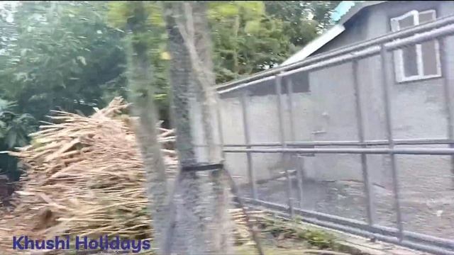 Safari world bangkok || by khushi holidays смотреть онлайн