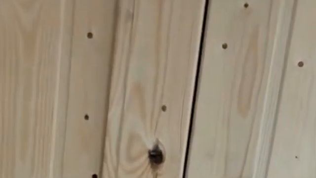 Бытовки дачные под ключ / Строительство модульных зданий / Компания Евробытовки смотреть онлайн