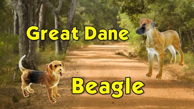 Safari Ltd® Dogs TOOB® смотреть онлайн