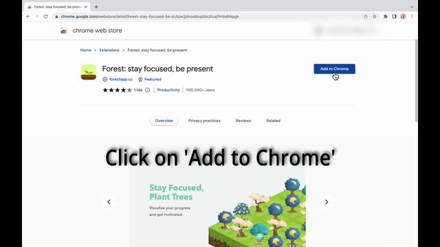 How to Install the Forest Chrome Extension смотреть онлайн