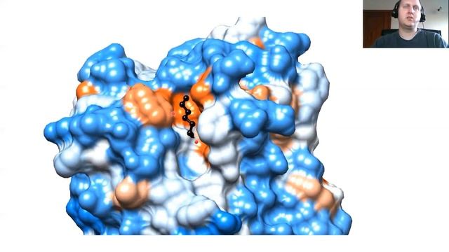 Structural basis for active-site probes targeting Staphylococcus aureus serine hydrolase virulence. смотреть онлайн