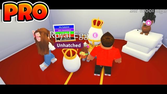 NOOB vs PRO vs ROBUX SPENDER FAMILY CHALLENGE in ADOPT ME смотреть онлайн