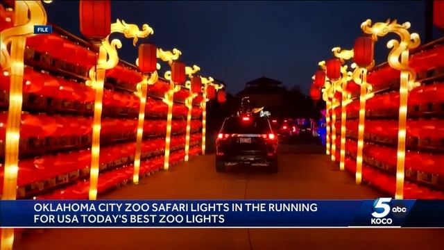 OKC Zoo's Safari Lights nominated for best in US; Oklahomans encouraged to vote in contest смотреть онлайн