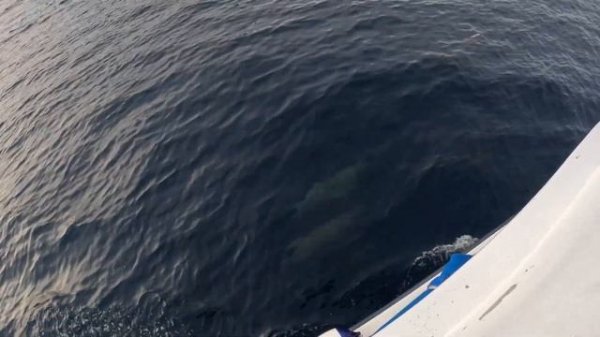 Meeru Island resort and spa review