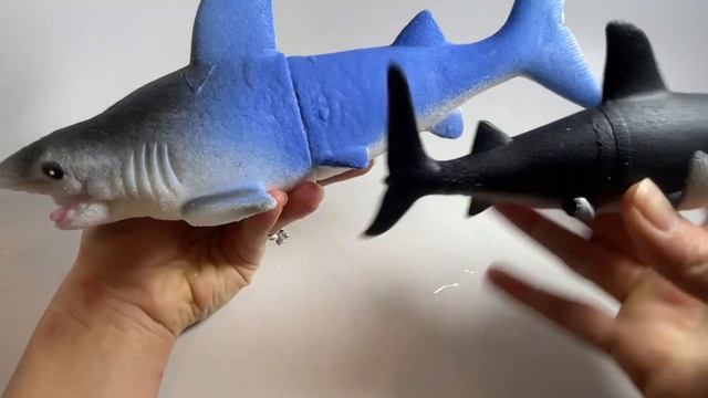 Jumbo grow shark soak in water toy смотреть онлайн