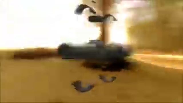 Trijicon 1 4x24 AccuPoint Scott Haugen Safari смотреть онлайн