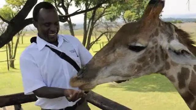 South African Adventure смотреть онлайн