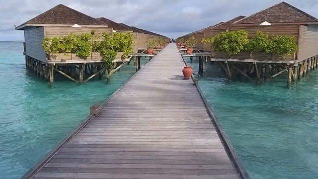 meeru island resort and spa maldives 2019 смотреть онлайн