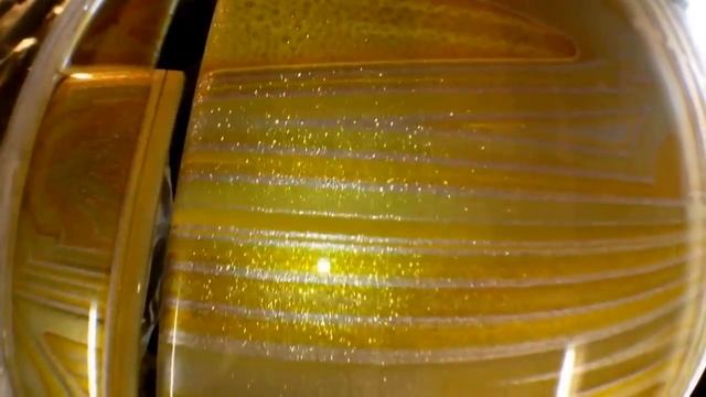KANDY N CHROME KUSTOM PAINT ERICS 62 WOODLAND CA смотреть онлайн