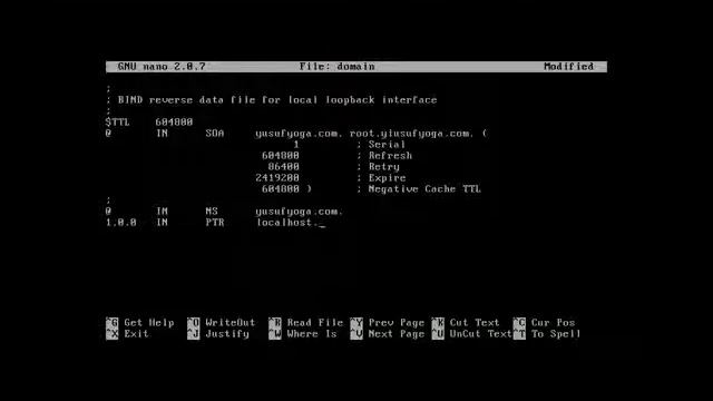Mengkonfigurasi DNS dan Web Server di Linux Debian 5 смотреть онлайн