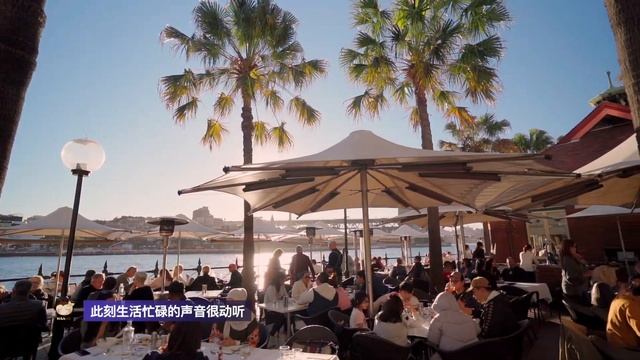 Sydney Harbour Sydney Opera Australia Tour смотреть онлайн