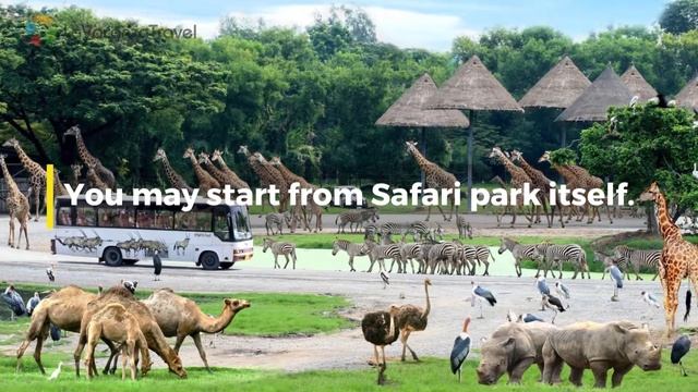 Why Safari World in Bangkok is one of the top attractions ? смотреть онлайн