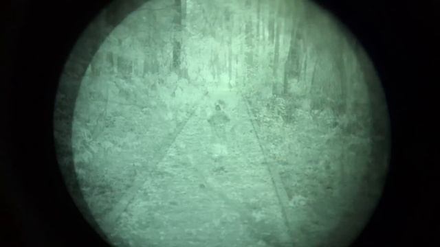 L3 Chrome Gen 3 Filmless Autogated White Phosphor Tube - Night Vision Hike смотреть онлайн
