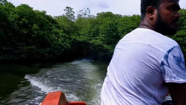 Madu Ganga River Safari (මාදු ගගේ දවසේ චාරිකාව) смотреть онлайн