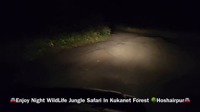 Hoshiarpur | Kukanet | Night Wildlife Jungle Safari | Overnight Self Camping | Cooking | Travel Vlo смотреть онлайн