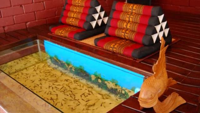 Phuket Safari Tours смотреть онлайн