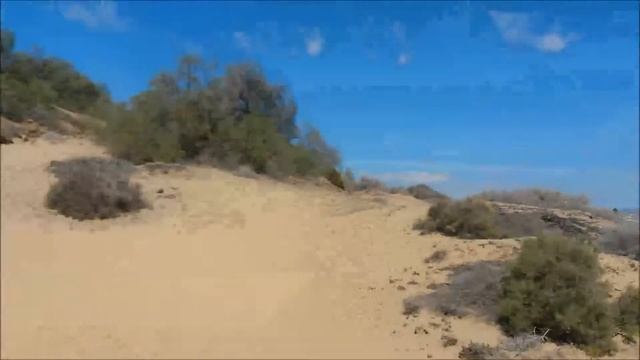Camel safari, Maspalomas, Gran Canaria смотреть онлайн