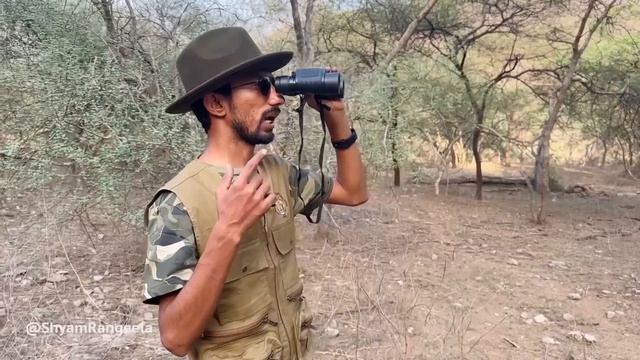 Jungle Safari | Behind the camera | Shyam Rangeela смотреть онлайн